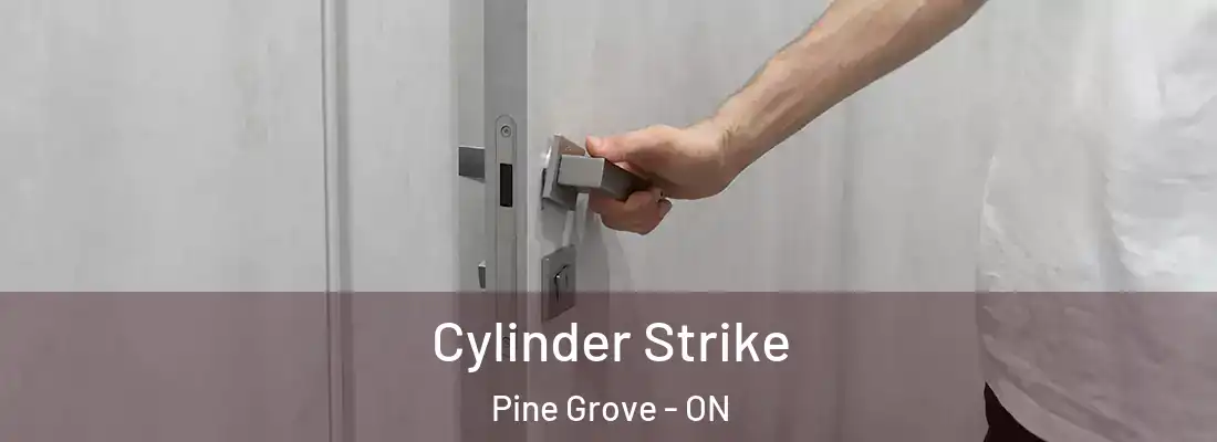  Cylinder Strike Pine Grove - ON