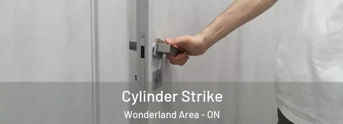  Cylinder Strike Wonderland Area - ON