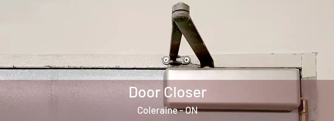  Door Closer Coleraine - ON