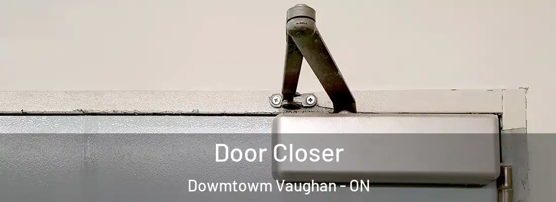  Door Closer Dowmtowm Vaughan - ON