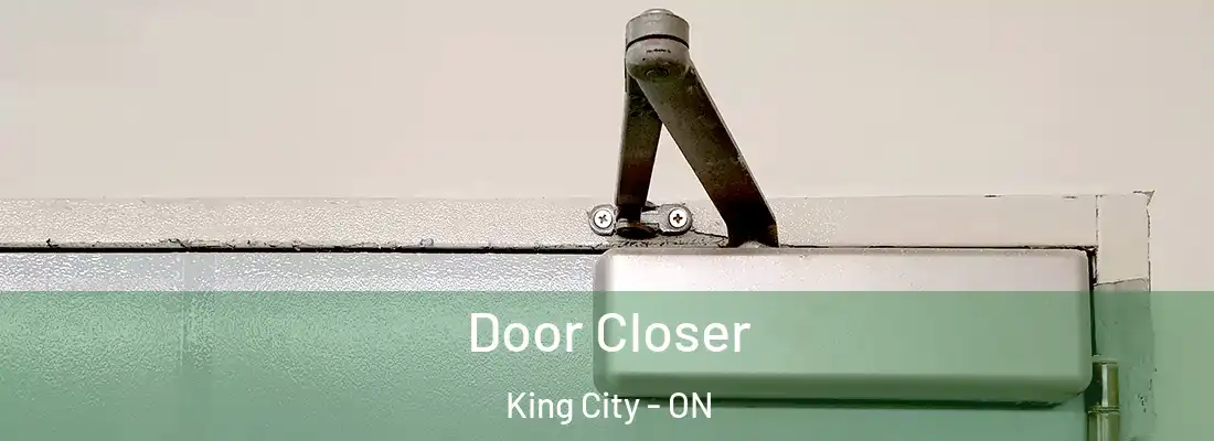  Door Closer King City - ON