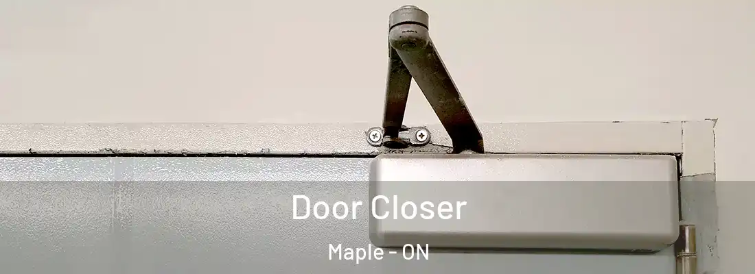  Door Closer Maple - ON