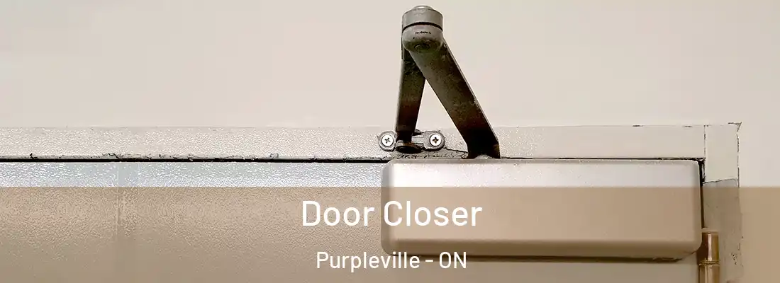  Door Closer Purpleville - ON