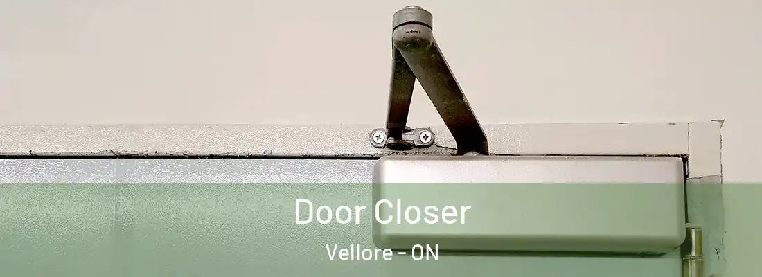  Door Closer Vellore - ON