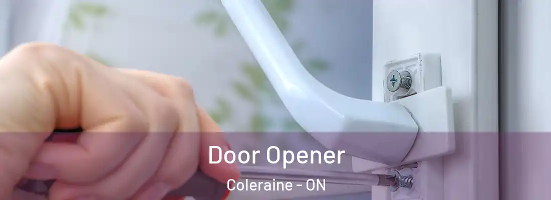  Door Opener Coleraine - ON