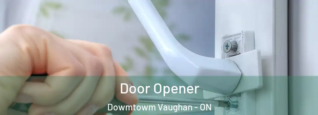  Door Opener Dowmtowm Vaughan - ON