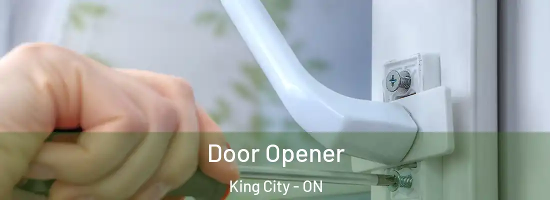  Door Opener King City - ON