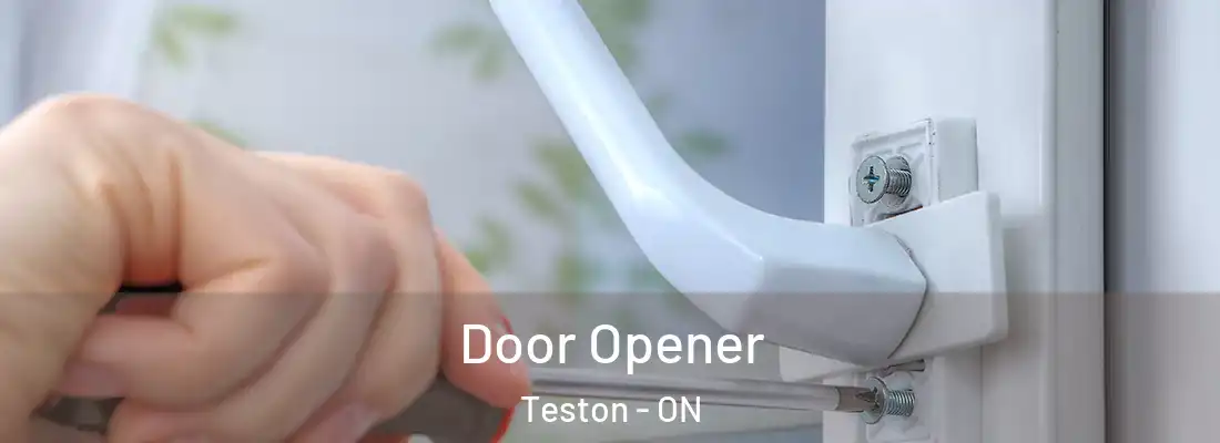  Door Opener Teston - ON