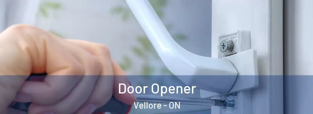  Door Opener Vellore - ON
