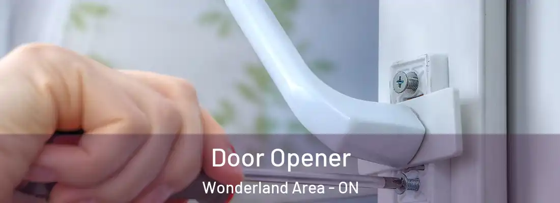  Door Opener Wonderland Area - ON