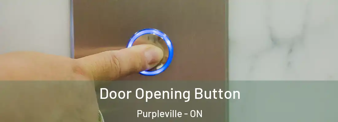  Door Opening Button Purpleville - ON