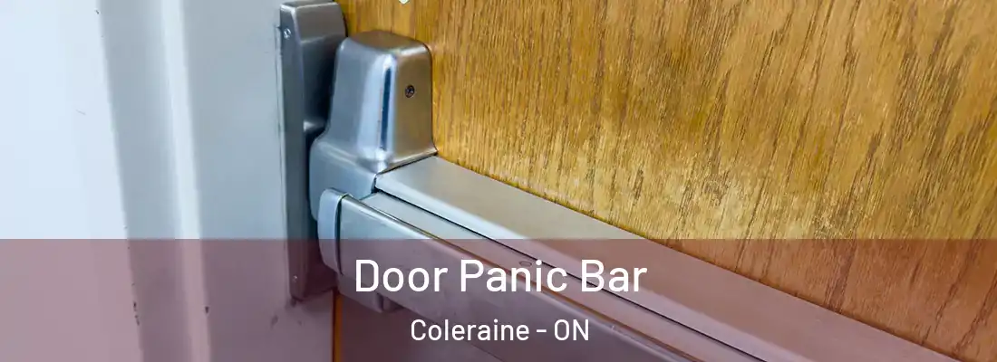  Door Panic Bar Coleraine - ON