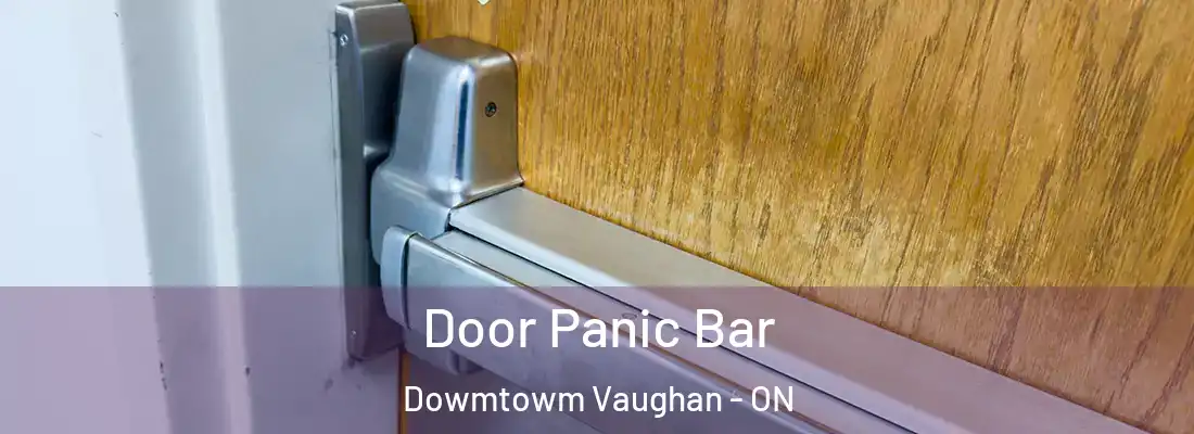  Door Panic Bar Dowmtowm Vaughan - ON