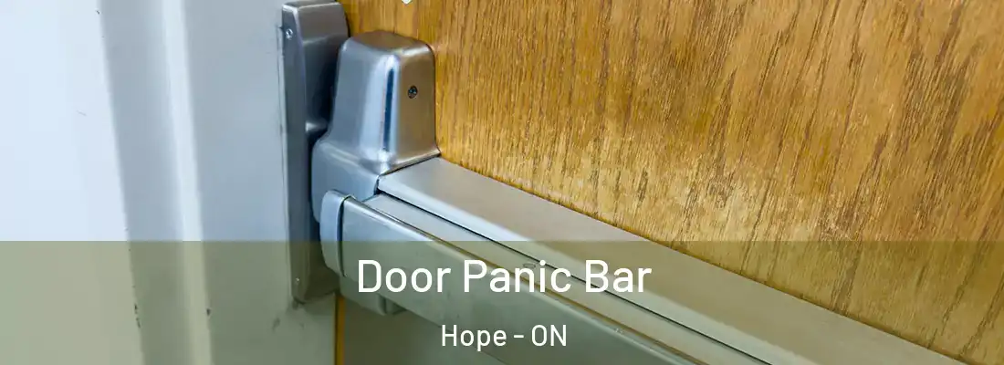  Door Panic Bar Hope - ON