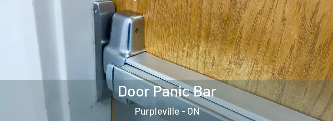  Door Panic Bar Purpleville - ON