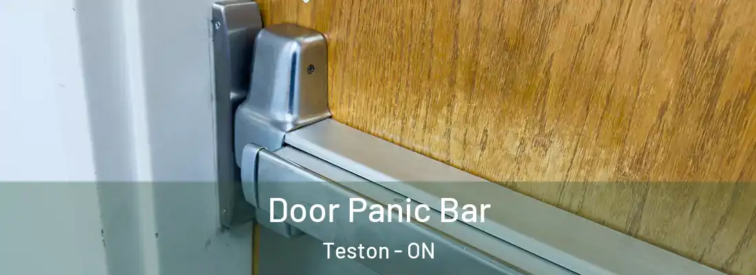 Door Panic Bar Teston - ON