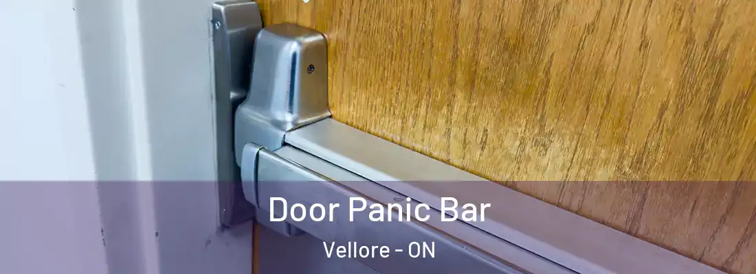 Door Panic Bar Vellore - ON