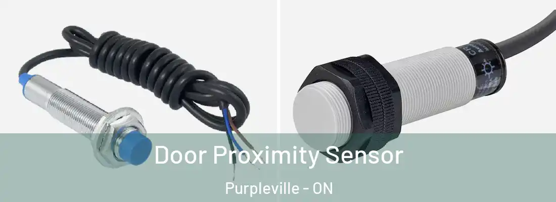  Door Proximity Sensor Purpleville - ON