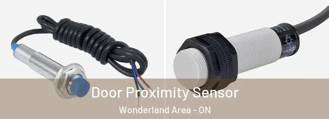  Door Proximity Sensor Wonderland Area - ON