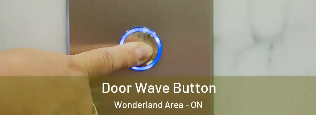  Door Wave Button Wonderland Area - ON