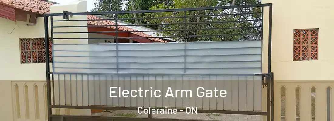  Electric Arm Gate Coleraine - ON