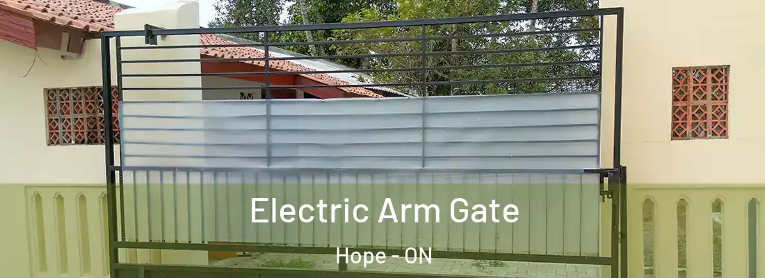  Electric Arm Gate Hope - ON
