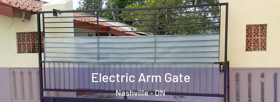  Electric Arm Gate Nashville - ON