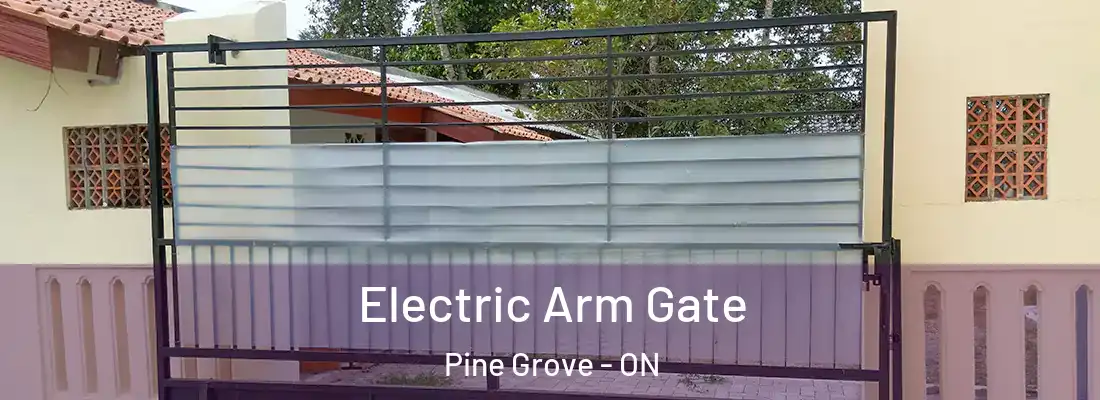  Electric Arm Gate Pine Grove - ON