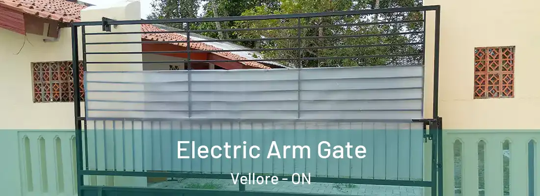  Electric Arm Gate Vellore - ON