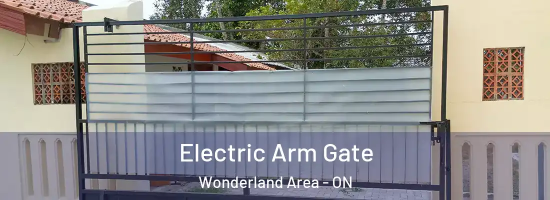  Electric Arm Gate Wonderland Area - ON