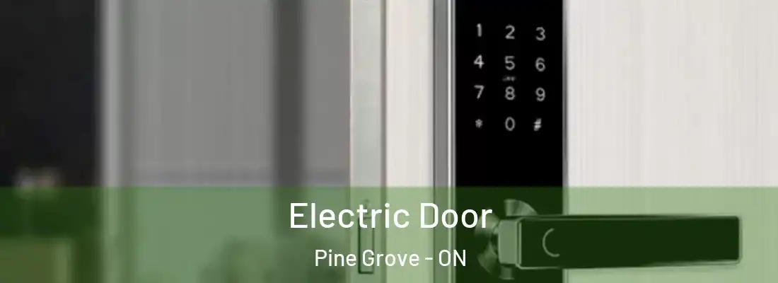  Electric Door Pine Grove - ON