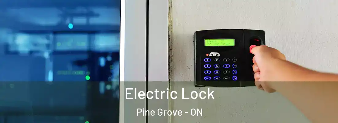  Electric Lock Pine Grove - ON
