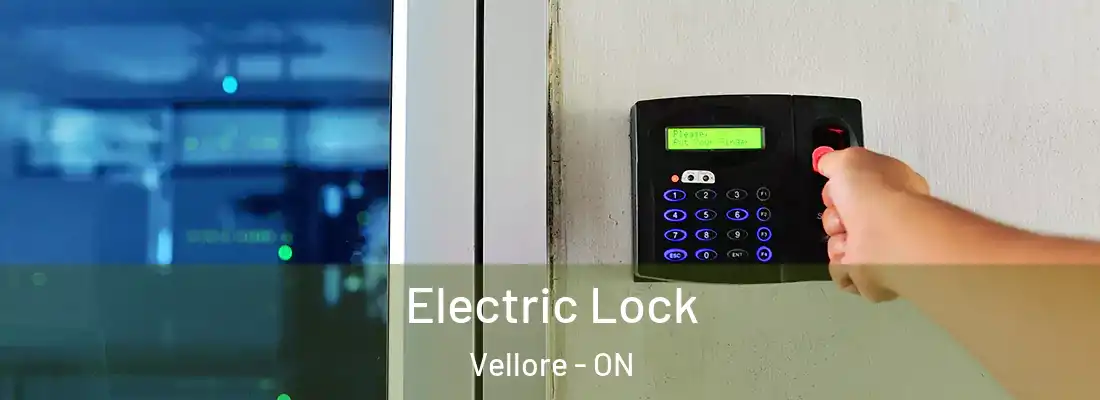  Electric Lock Vellore - ON