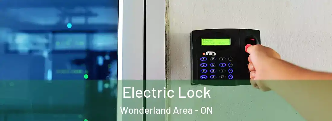  Electric Lock Wonderland Area - ON