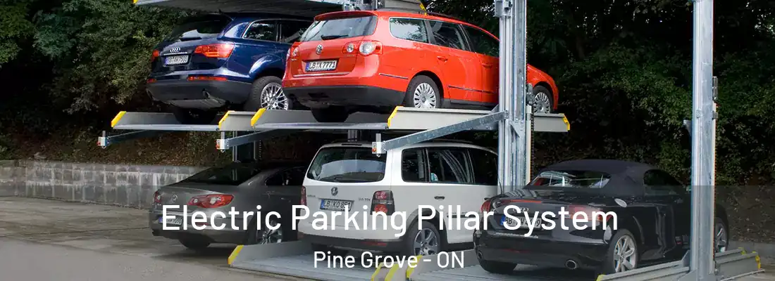  Electric Parking Pillar System Pine Grove - ON