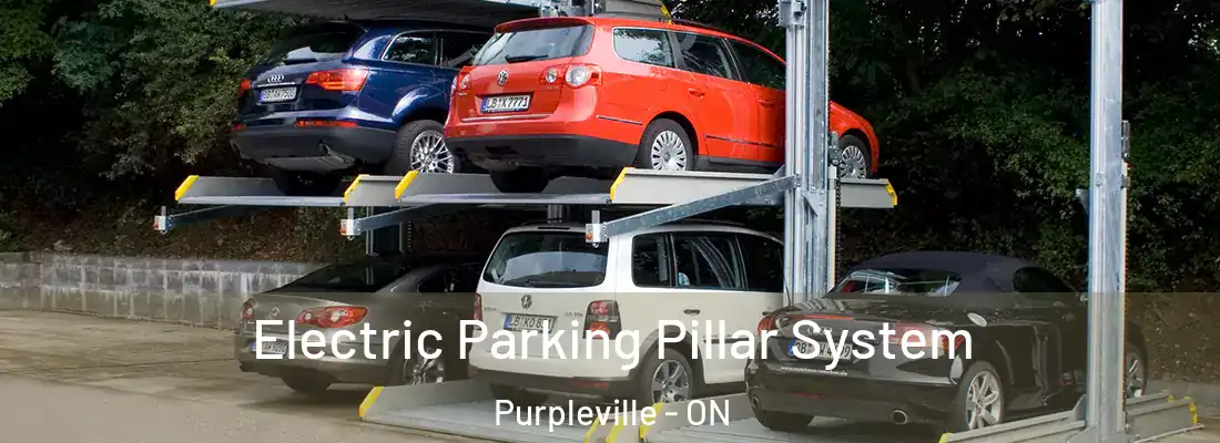  Electric Parking Pillar System Purpleville - ON