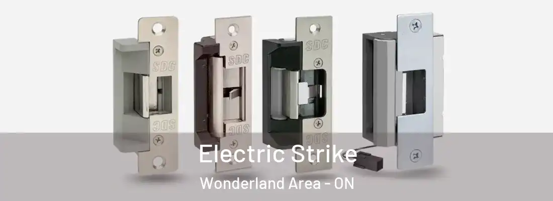  Electric Strike Wonderland Area - ON