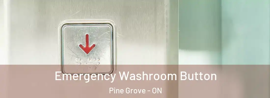  Emergency Washroom Button Pine Grove - ON