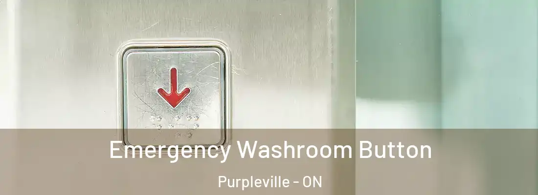  Emergency Washroom Button Purpleville - ON