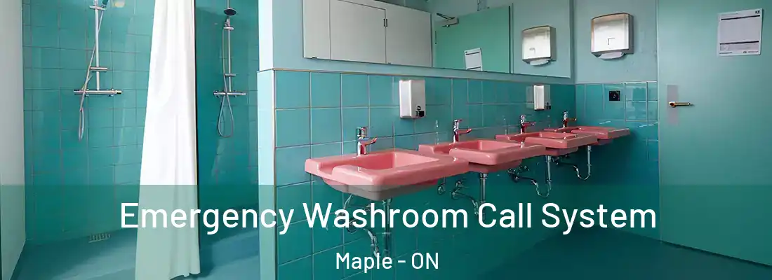  Emergency Washroom Call System Maple - ON