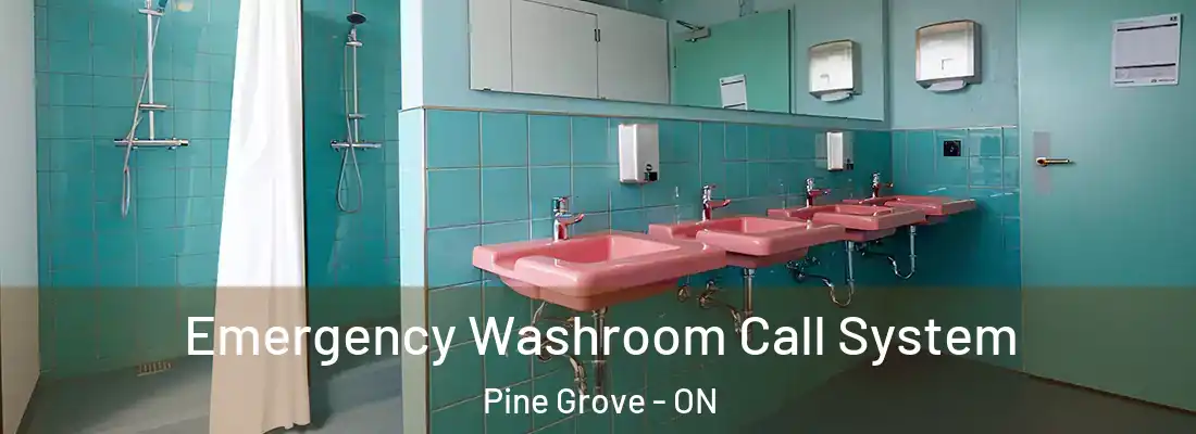  Emergency Washroom Call System Pine Grove - ON