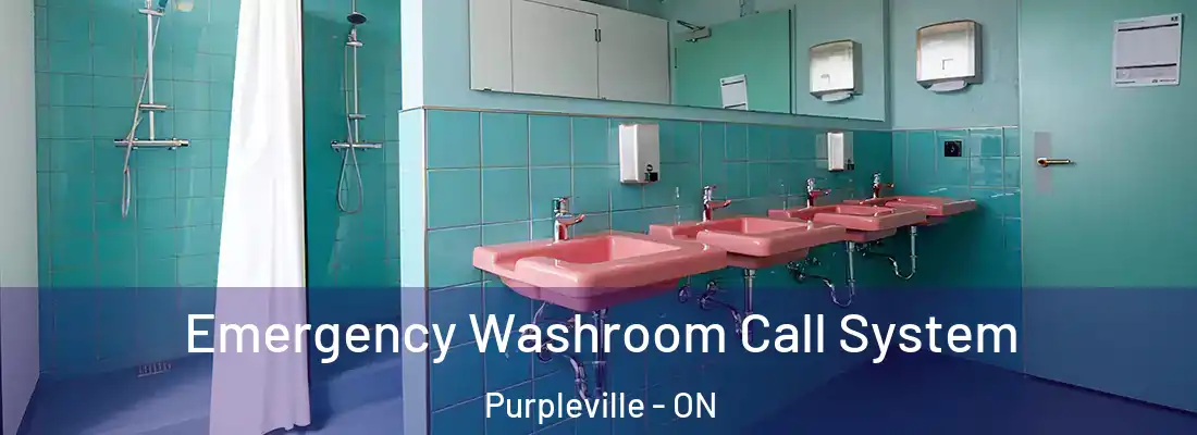  Emergency Washroom Call System Purpleville - ON