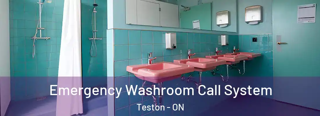  Emergency Washroom Call System Teston - ON