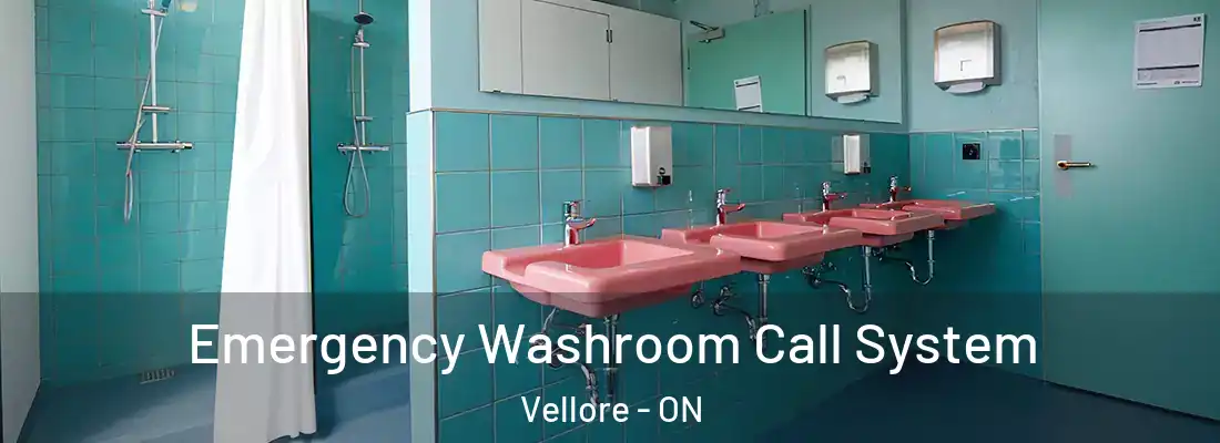  Emergency Washroom Call System Vellore - ON