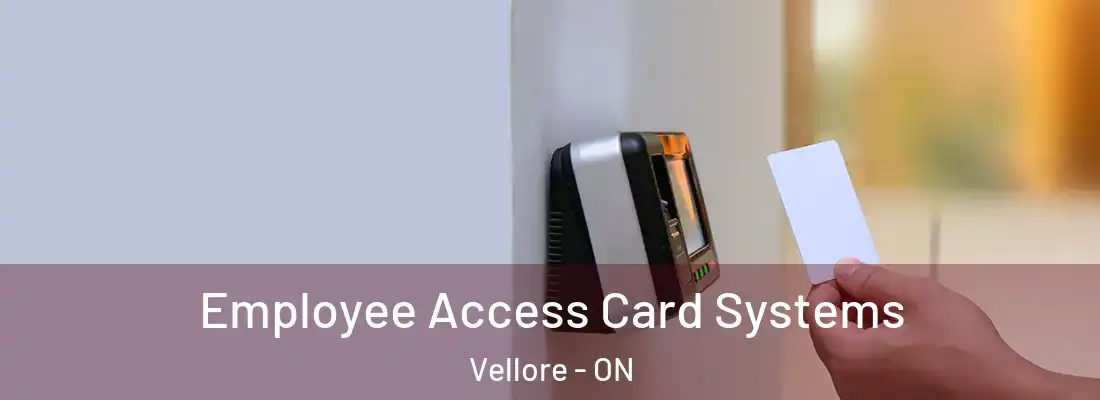  Employee Access Card Systems Vellore - ON