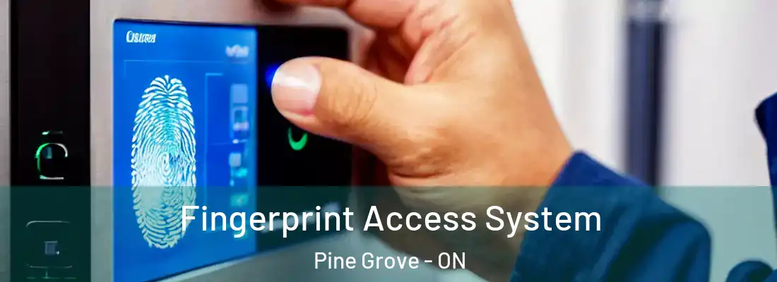  Fingerprint Access System Pine Grove - ON