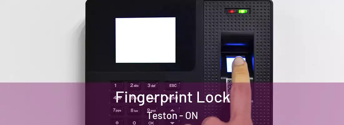  Fingerprint Lock Teston - ON
