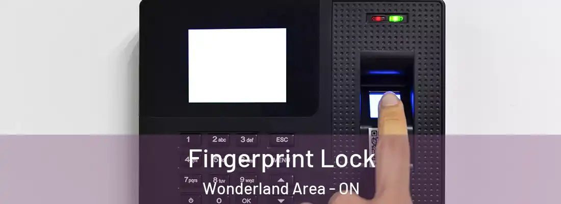  Fingerprint Lock Wonderland Area - ON