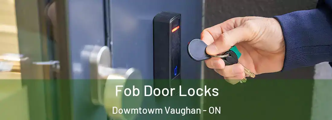  Fob Door Locks Dowmtowm Vaughan - ON