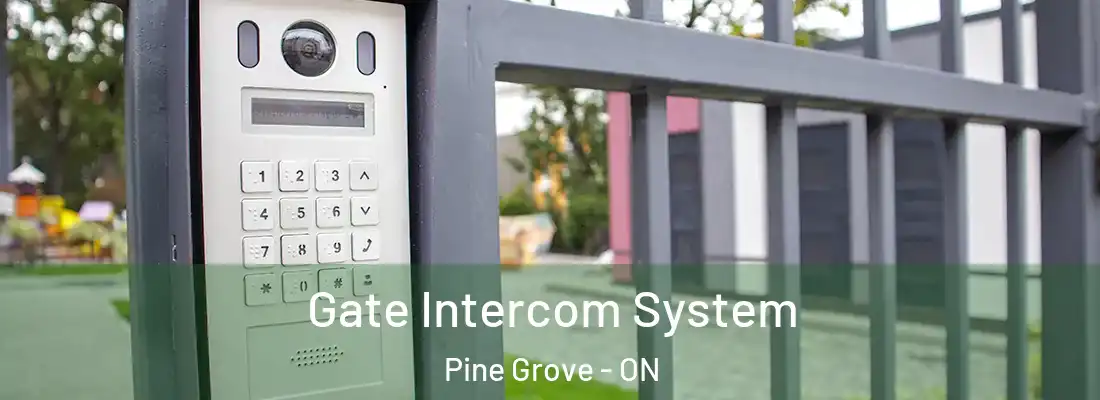  Gate Intercom System Pine Grove - ON